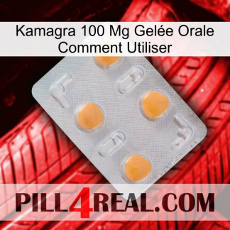 Kamagra 100 Mg Gelée Orale Comment Utiliser 24